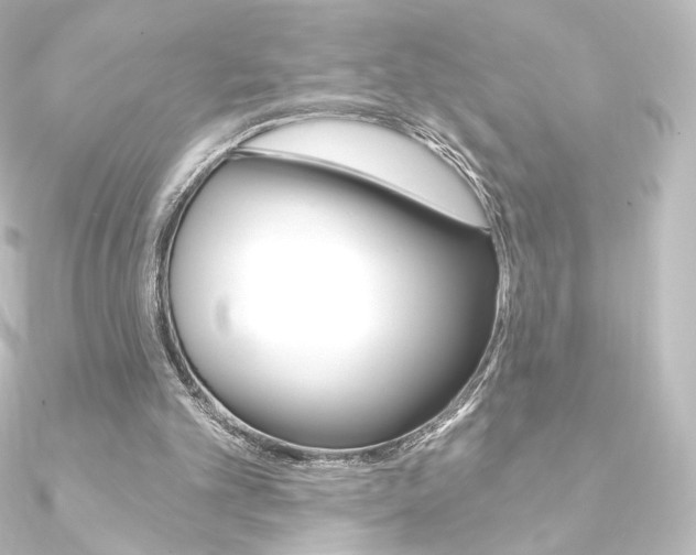 X0000090950101200708021109