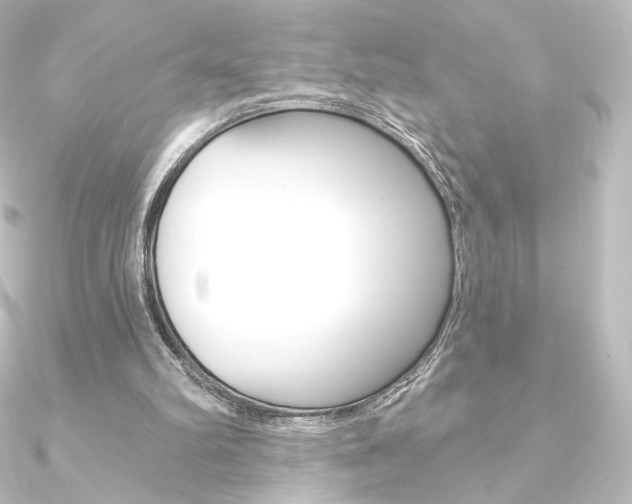 X0000090950102200708021109