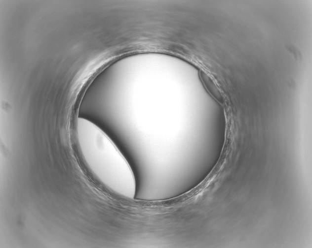 X0000090950103200708021109