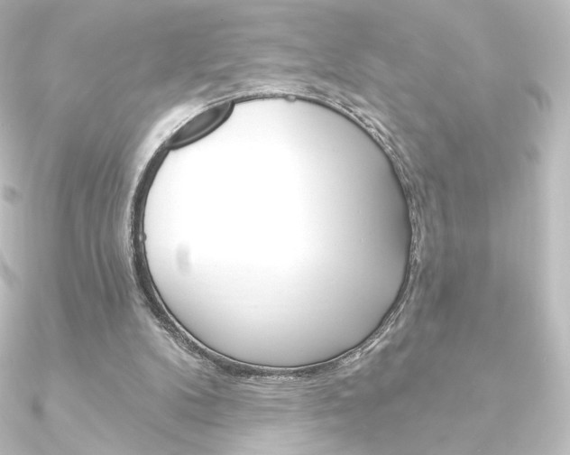 X0000090950104200708021109
