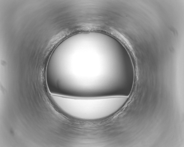 X0000090950105200708021109