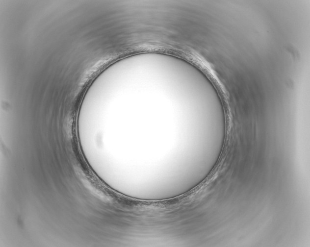 X0000090950106200708021109