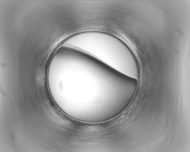 X0000090950107200708021109