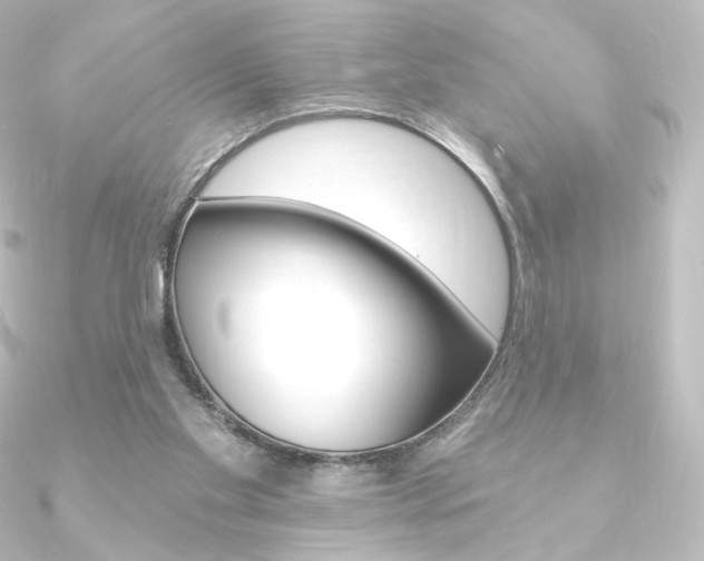 X0000090950109200708021109