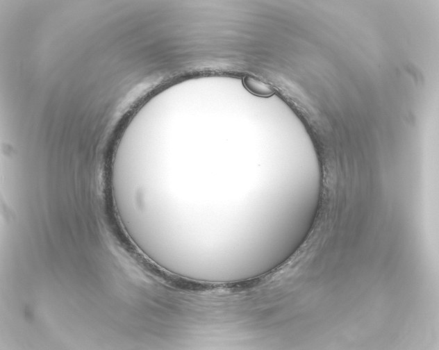 X0000090950112200708021109