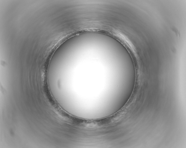 X0000090950113200708021109