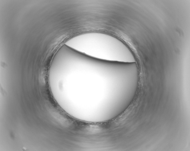X0000090950114200708021109