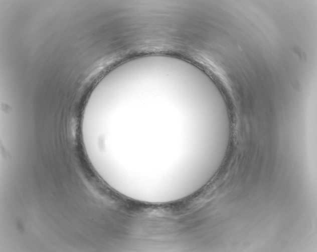 X0000090950115200708021109