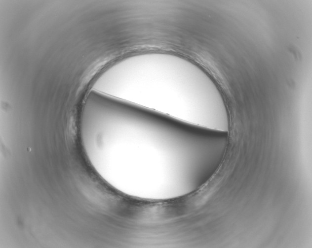 X0000090950116200708021109