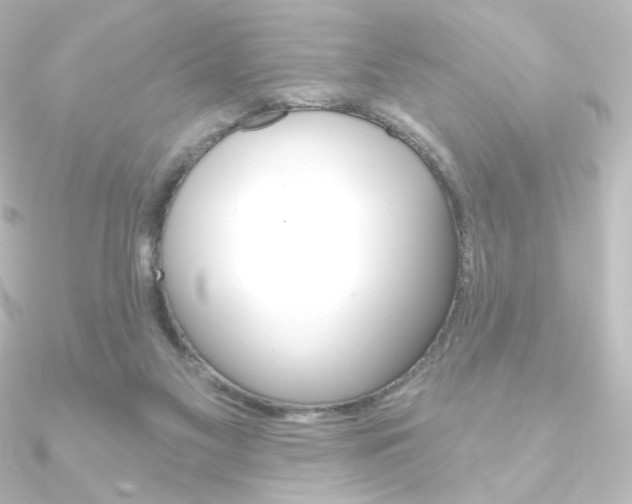 X0000090950117200708021109