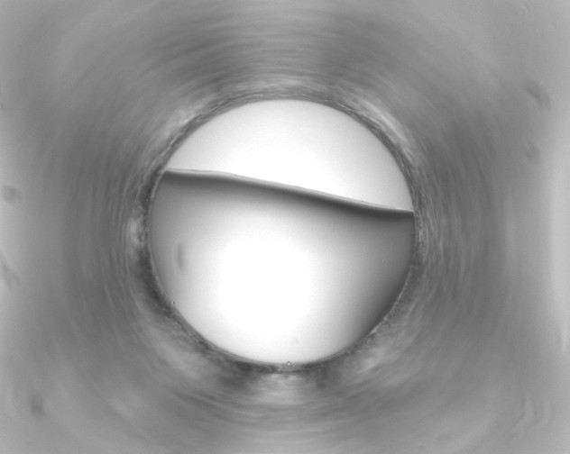 X0000090950119200708021109