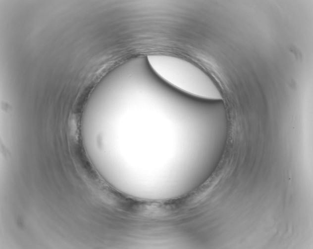 X0000090950121200708021109