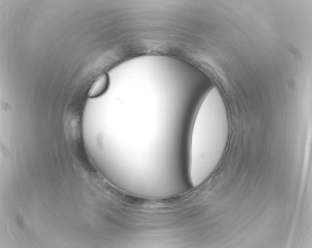 X0000090950123200708021109