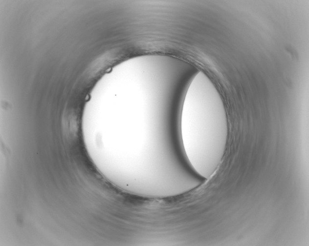 X0000090950124200708021109