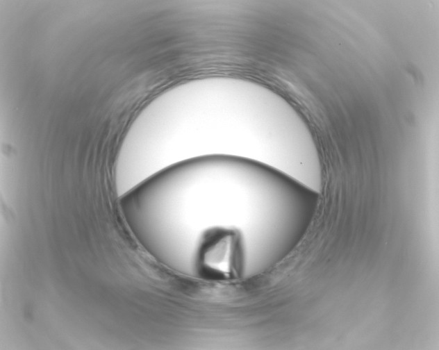 X0000090950125200708021109