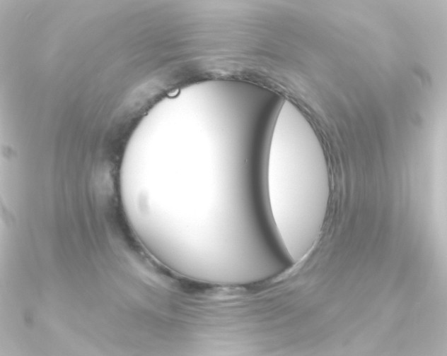 X0000090950128200708021109