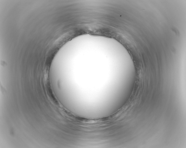 X0000090950129200708021109