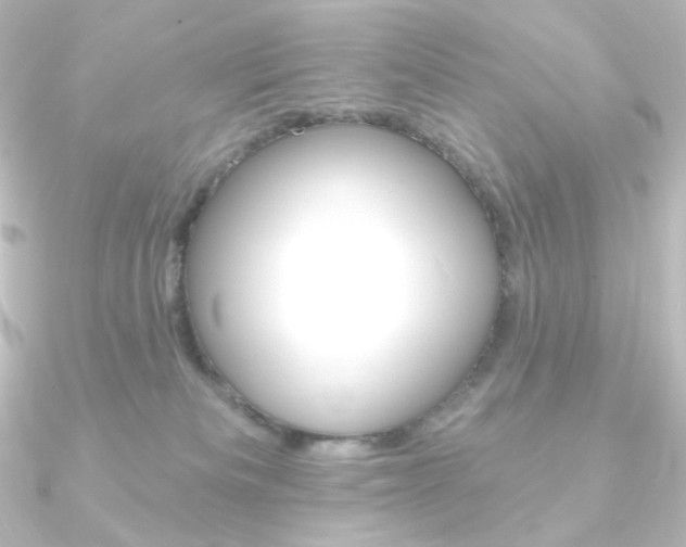 X0000090950133200708021109