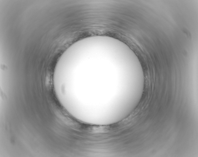 X0000090950134200708021109