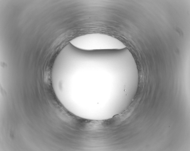 X0000090950138200708021109