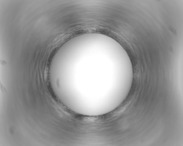 X0000090950139200708021109