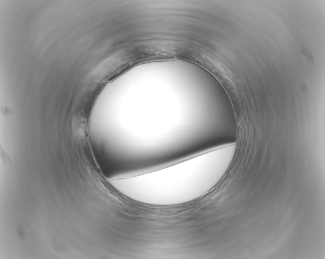 X0000090950141200708021109