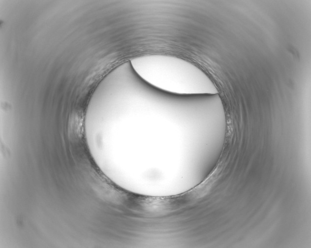 X0000090950142200708021109