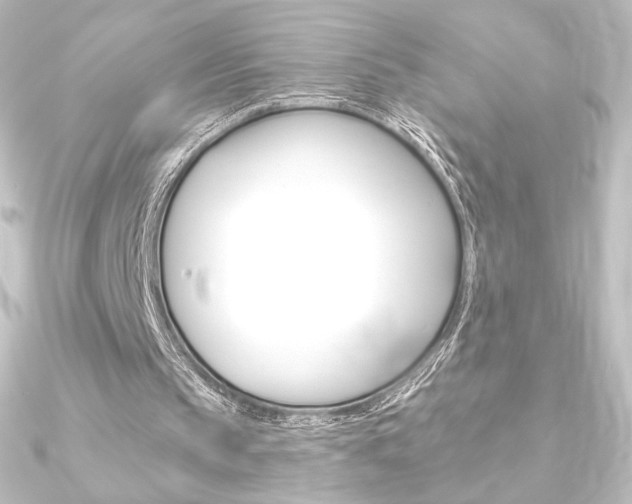X0000090950145200708021108