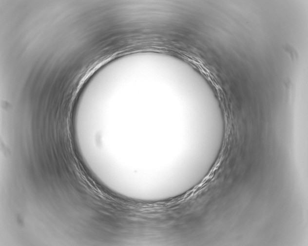 X0000090950146200708021108