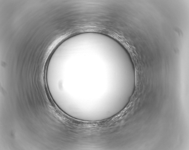 X0000090950147200708021108