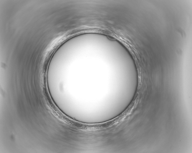 X0000090950149200708021108