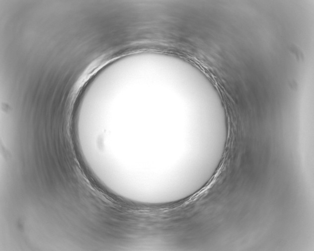 X0000090950150200708021108