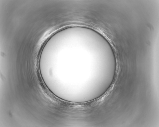 X0000090950151200708021108