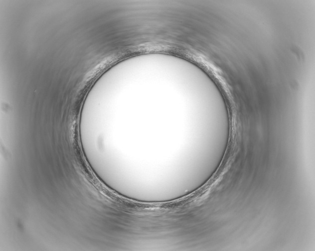 X0000090950153200708021108