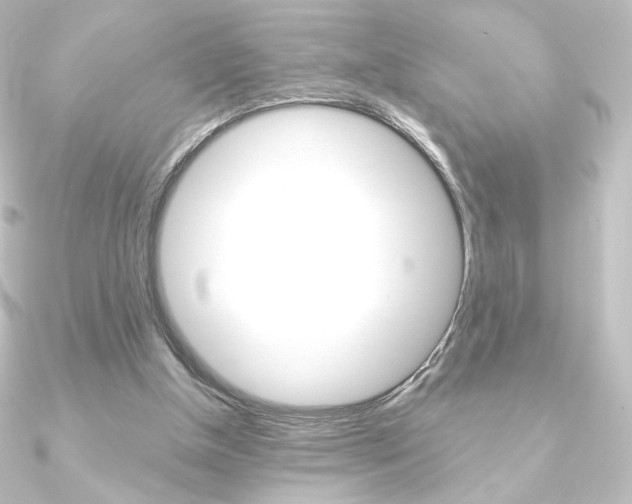 X0000090950154200708021108