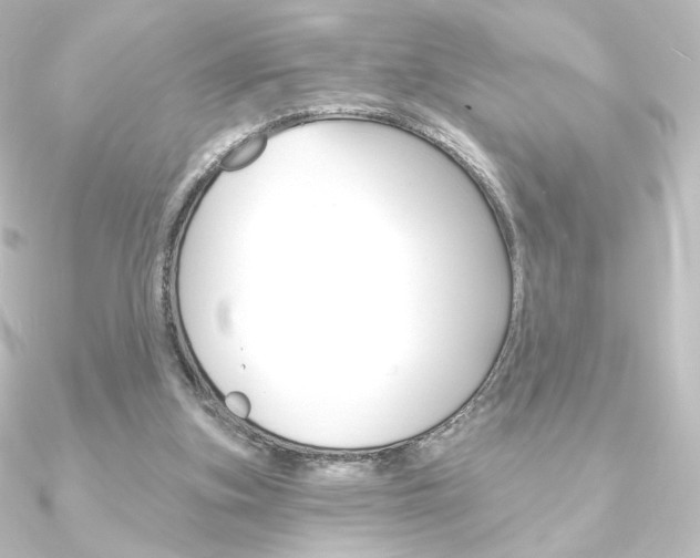 X0000090950155200708021108