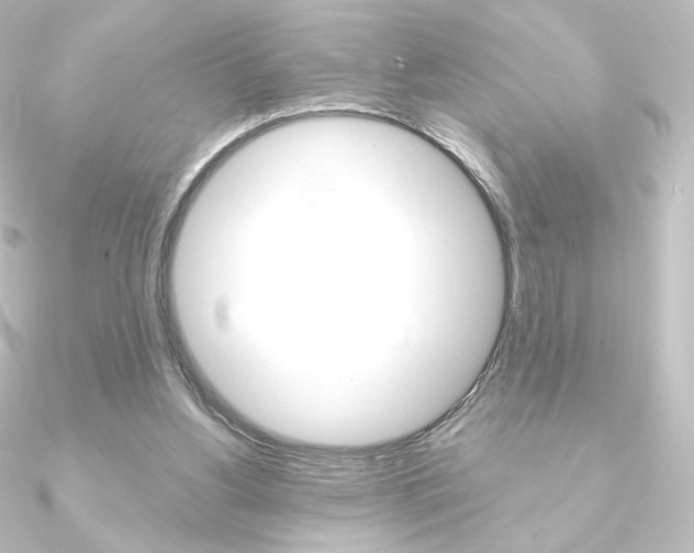 X0000090950156200708021108