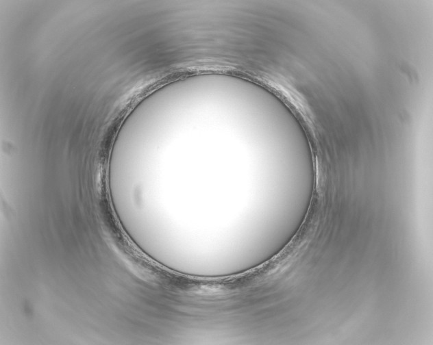 X0000090950157200708021108