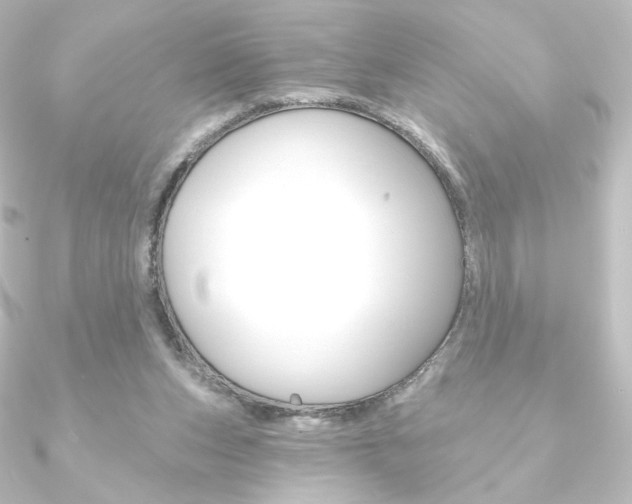 X0000090950159200708021108