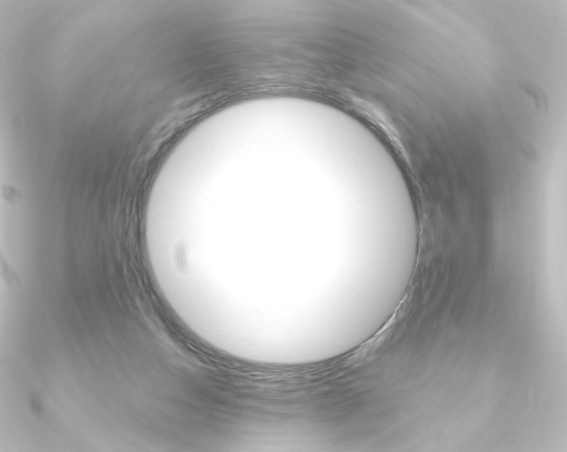 X0000090950162200708021108