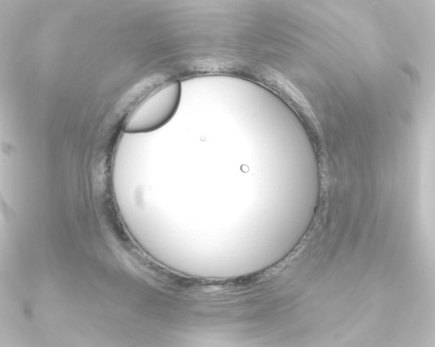 X0000090950163200708021108