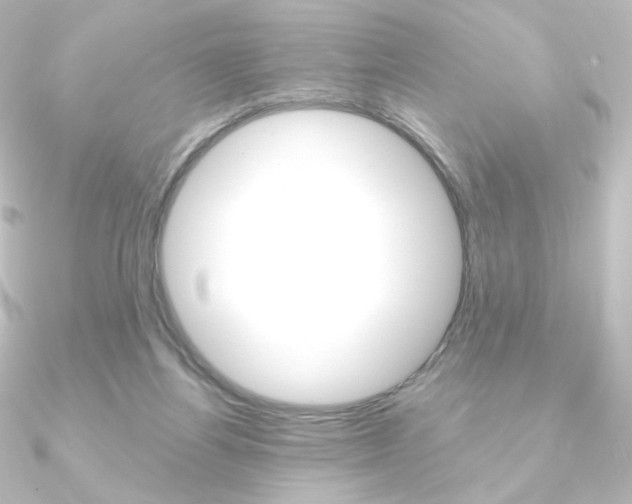 X0000090950164200708021108