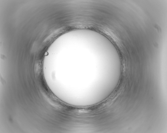 X0000090950165200708021108
