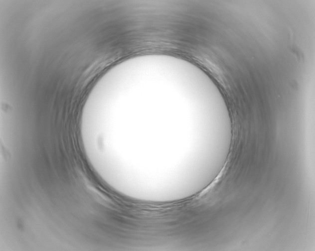X0000090950166200708021108