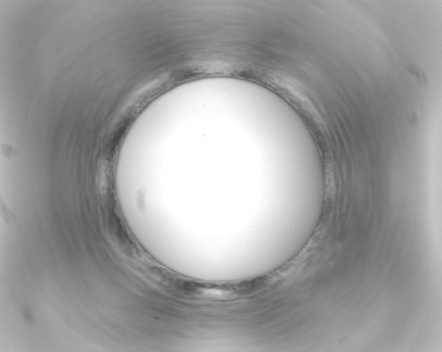 X0000090950167200708021109