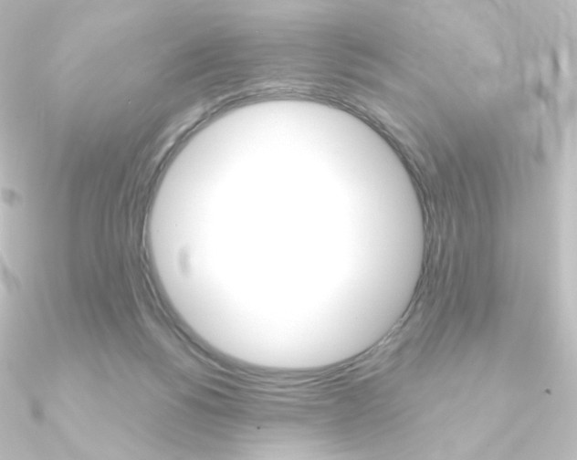 X0000090950168200708021109