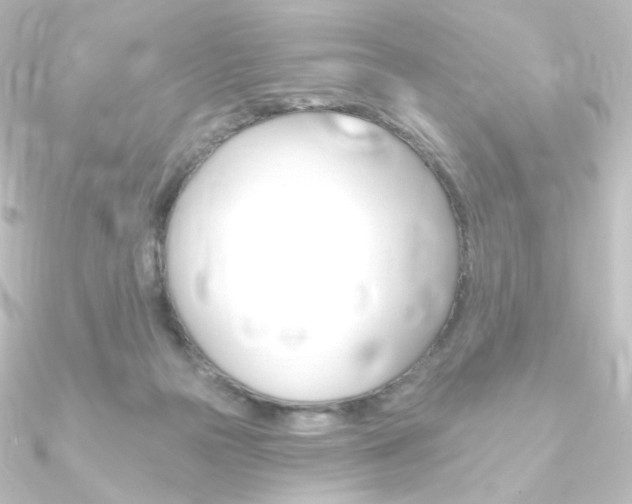 X0000090950169200708021109