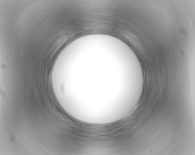 X0000090950172200708021109