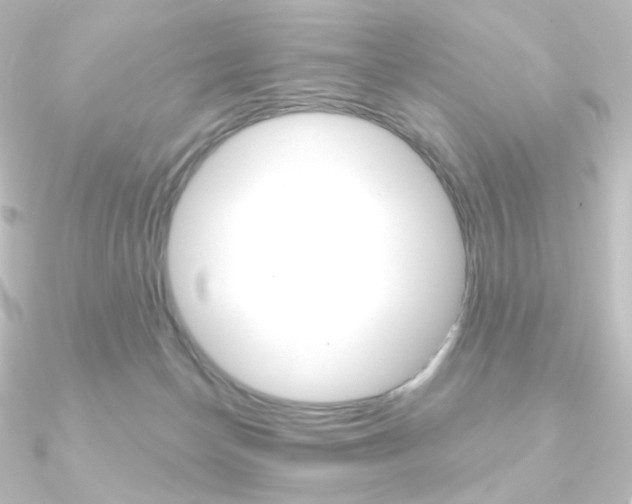 X0000090950174200708021109