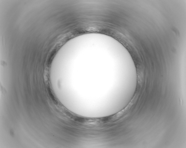 X0000090950175200708021109